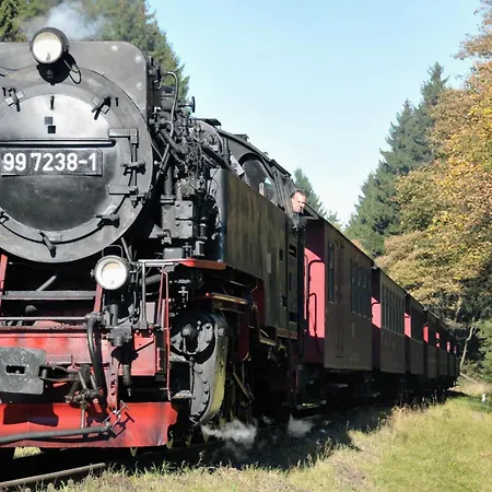 Grosse Und Moderne Im Erdgeschoss Braunlage