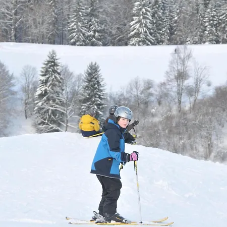 Grosse Und Moderne Im Erdgeschoss Braunlage